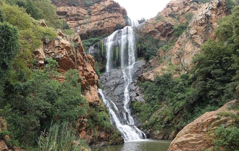Walter Sisulu National Botanical Garden, Roodepoort, South Africa, South Africa